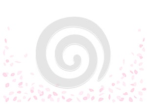 Patterns of petals such as cherry blossoms and roses. Vector illustration.